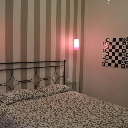 Il Moscondoro Di Mz Bolonya